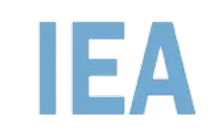 Italian-Endourological-Association-1 1